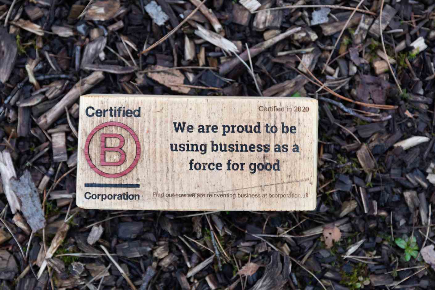 B Corp image 1