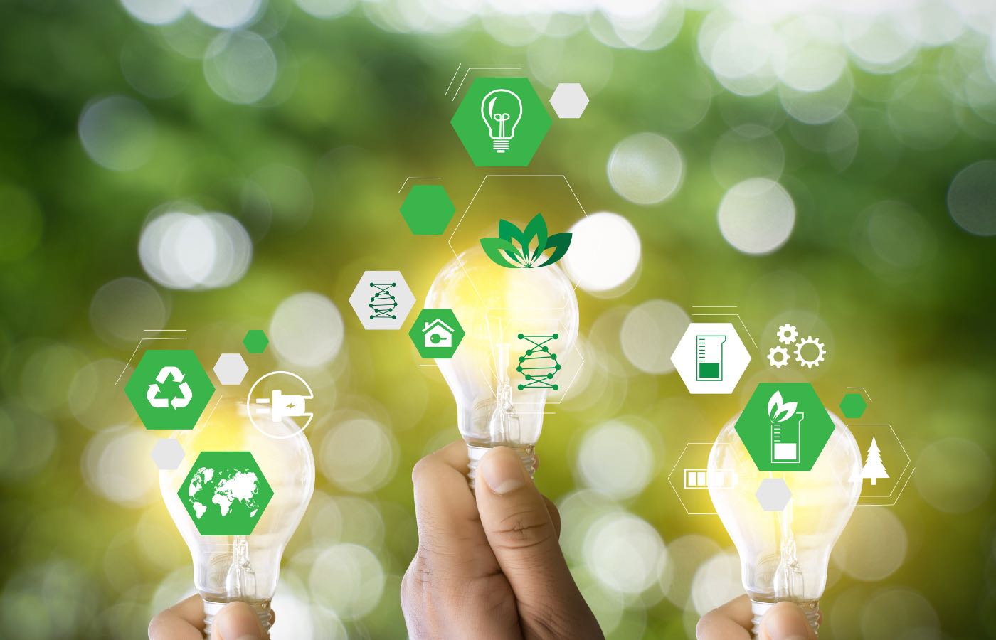 Green Business Tips