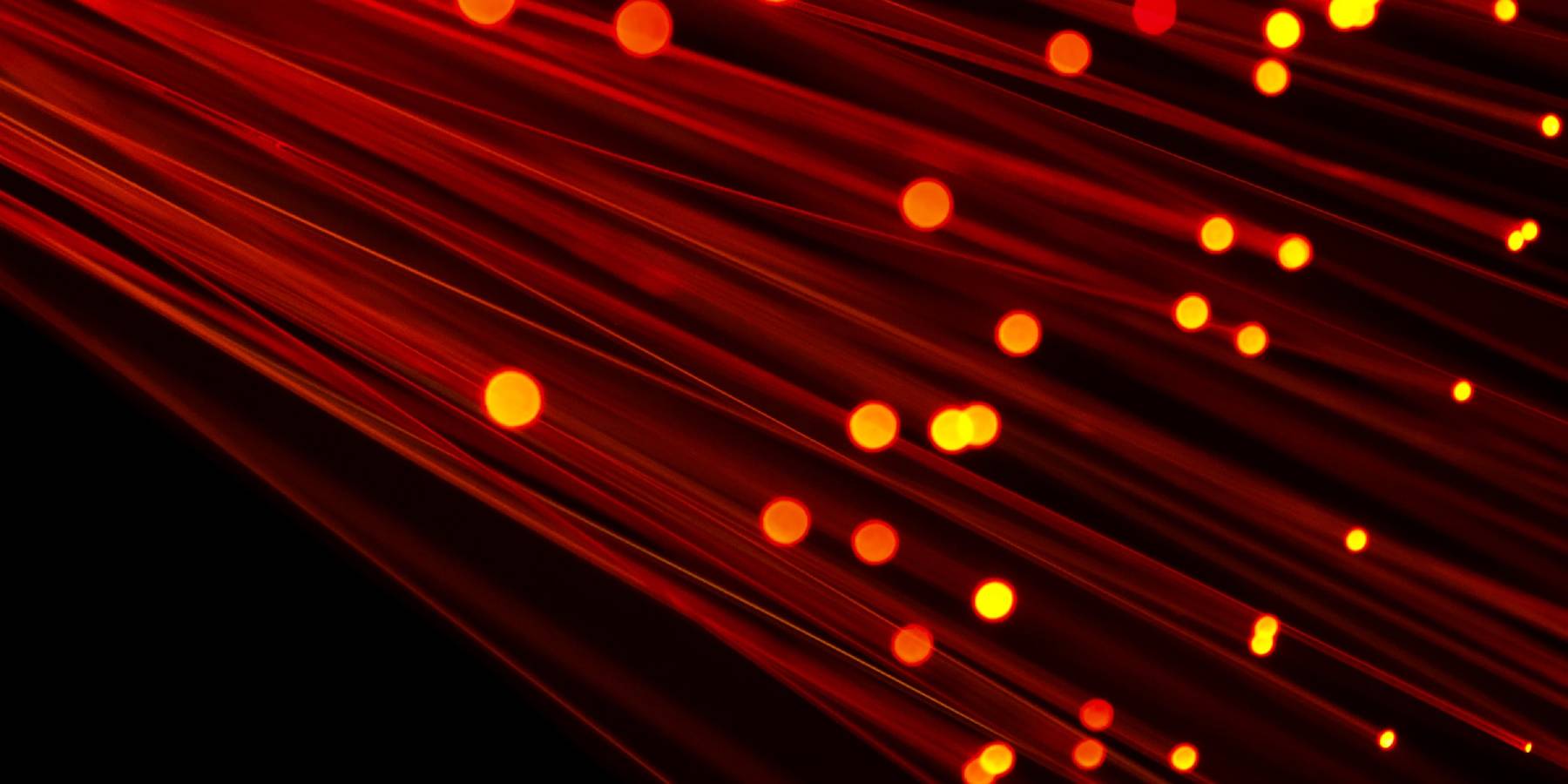 Fibre red wide