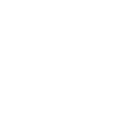 Zen_Wifi_Dial-White