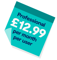 Professional £12.99 per month per user