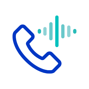 Digital Voice icon