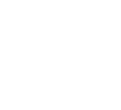 Digital Voice