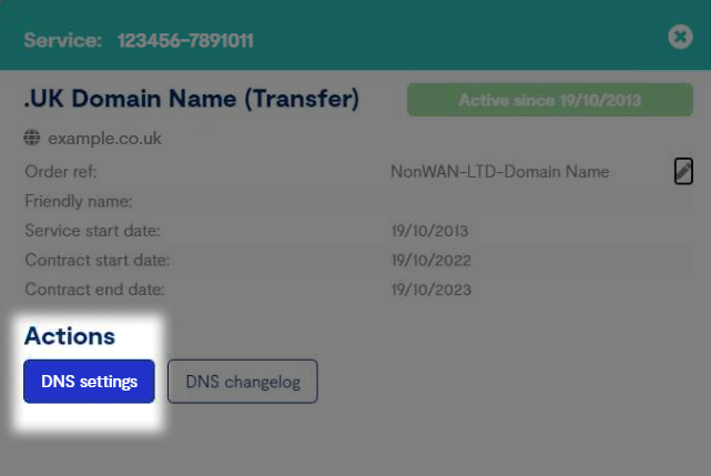 Highlighted blue button to change DNS settings in the Business Portal