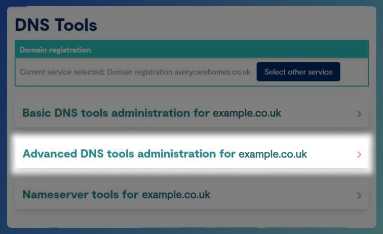 Highlighted menu tab for advanced DNS tools within the Business Portal