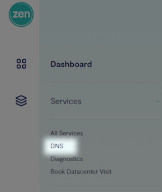 Highlighted area of the Business Portal showing a tab labelled DNS