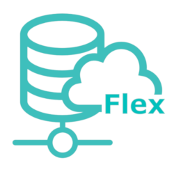 Icon for CloudFlex Server which directs you to the Server support page.