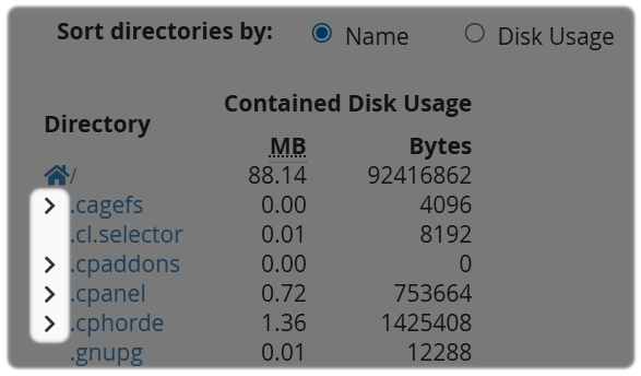 Directory Expandable option highlighted in Disk Usage