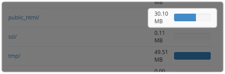 Disk Usage Size in MB
