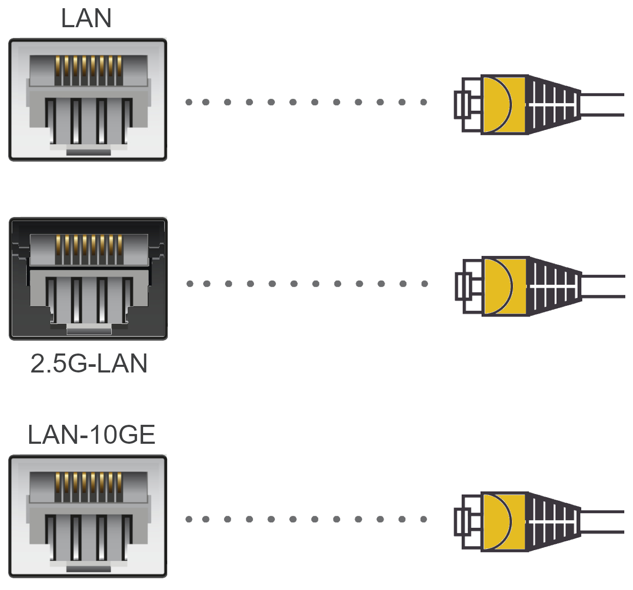 LAN cable going to appropriate ONT, either LAN, 2.5G-LAN or LAN-10GE from the router 