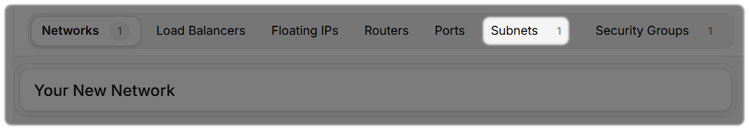 The new subnet on the top tool bar when a new network has been created.