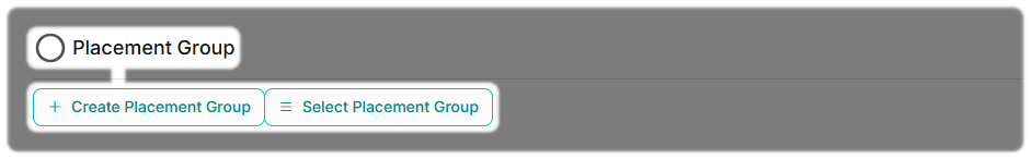 Add a Placement Group in CloudFlex when creating a Server with Create or Select Placement Group highlighted