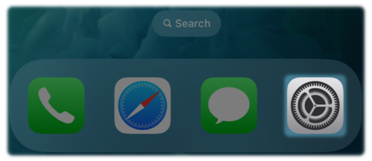 The settings Icon on the main home screen for iPhone or iPad