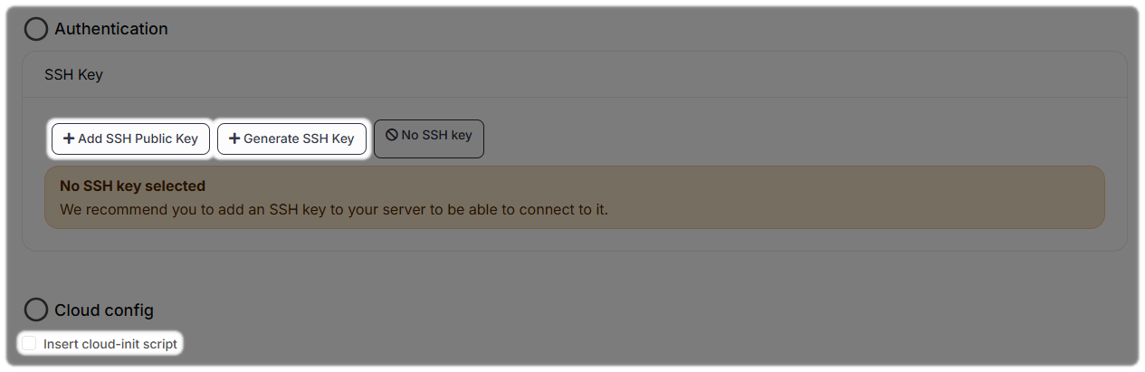 SSH Key and Cloud Config option within CloudFlex when setting up a Server.