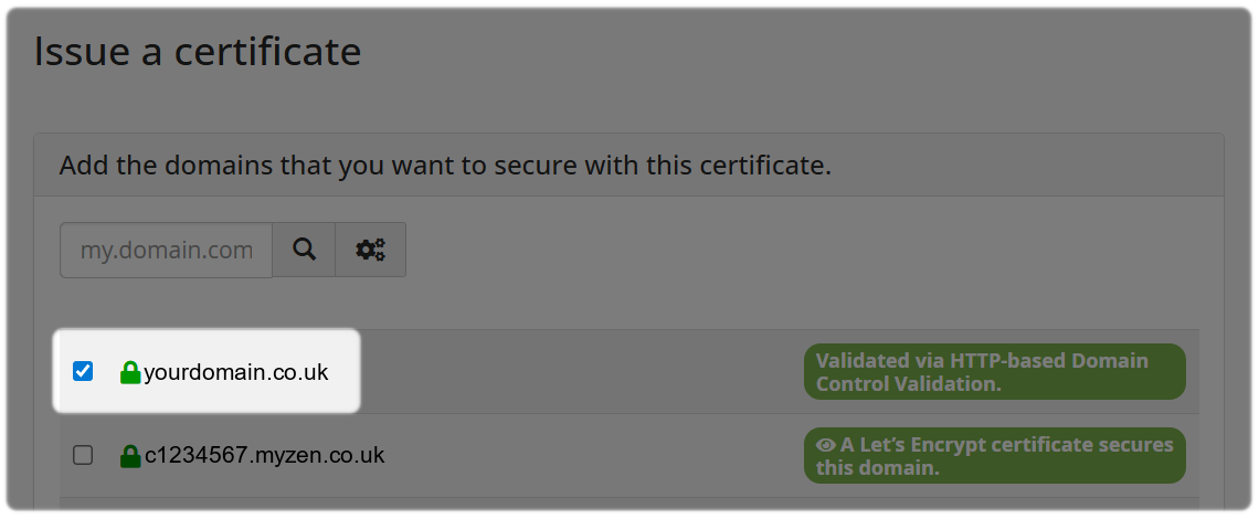 SSL/TLS Issue a Certificate with the domain you want to issue highlighted