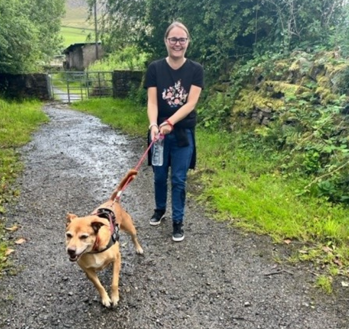 Dog Walking  - beige dog