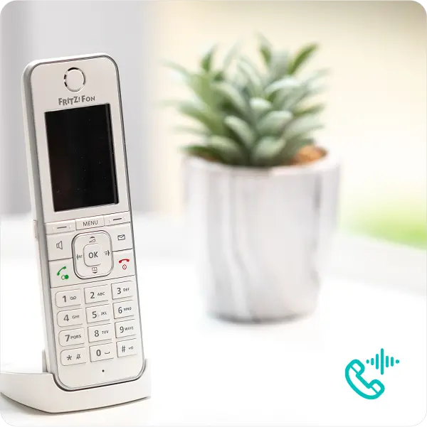 Digital Voice