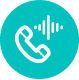 Digital Voice