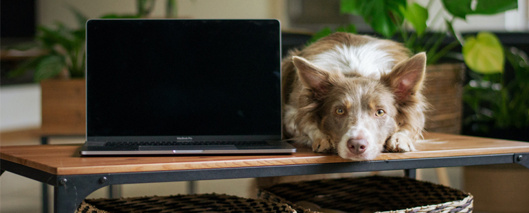 how to boost wifi in your home